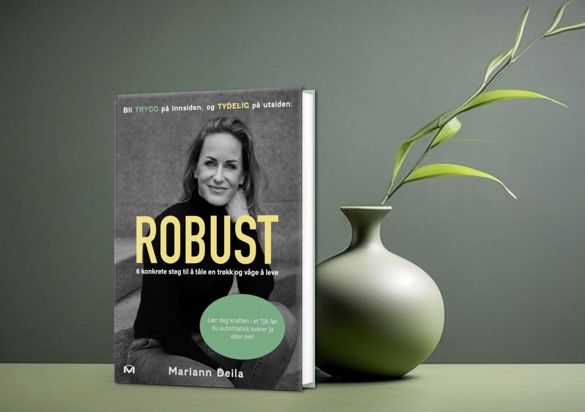 ROBUST – 6 konkrete steg til å tåle en trøkk og våge å leve! - Bilde 2